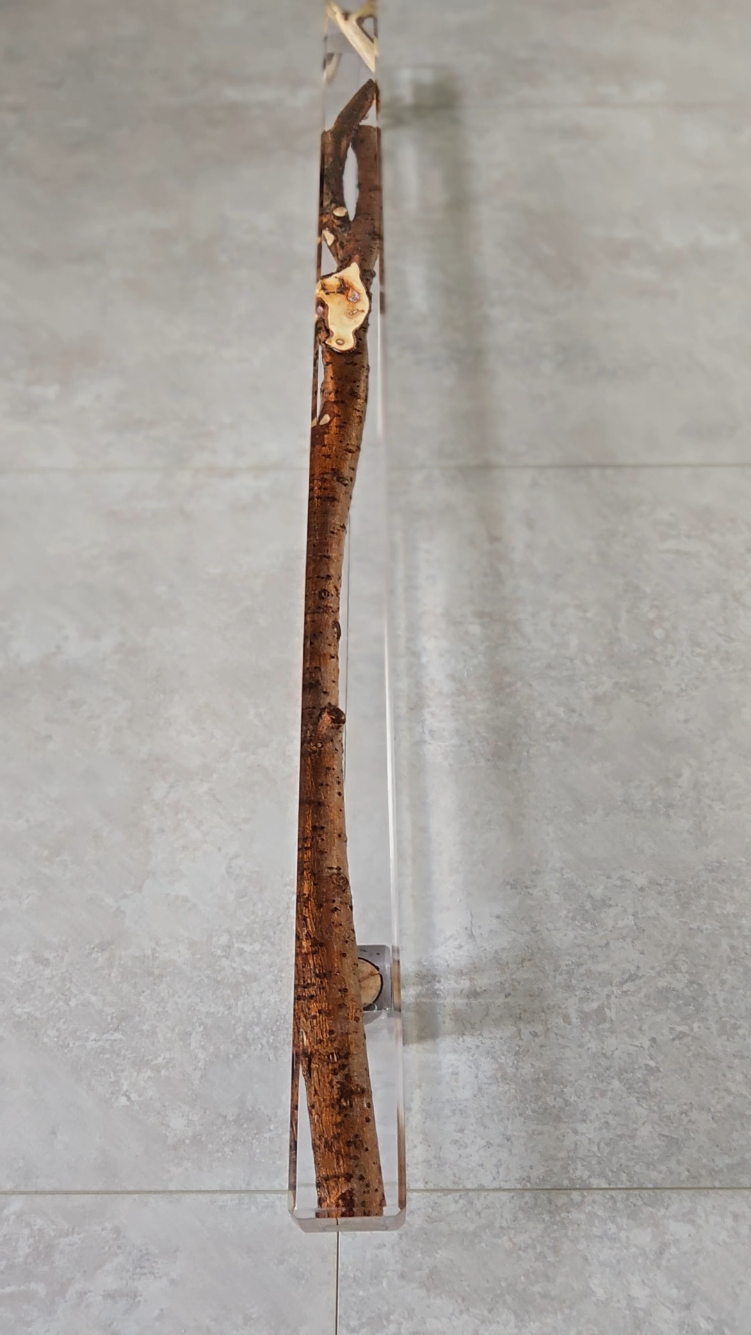 Resin Handle 透明×枝